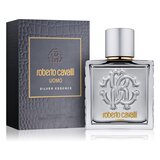 Roberto Cavalli Uomo Silver Essence Тоалетна вода