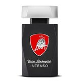 Tonino Lamborghini Intenso Тоалетна вода - Тестер 125ml