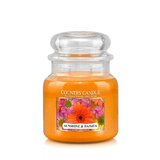 Свещ Country Candle Sunshine & Daisies ароматизирана свещ средна 2 фитила (453 g)