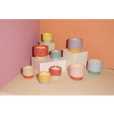 Ароматна свещ Paddywax Color Block Viole & Vanilla 453гр
