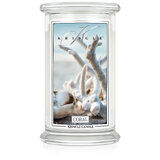 Kringle Candle Coral голяма ароматизирана свещ с 2 фитила (624 g)