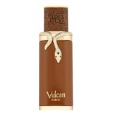 French Avenue Vulcan Sable Парфюмна вода 100ml