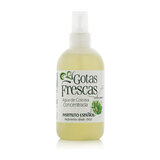 Instituto Español Gotas Frescas Одеколон 250 ml