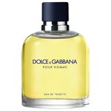 Dolce & Gabbana Pour Homme Тоалетна вода 75ml