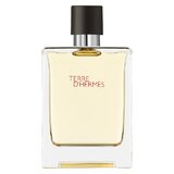 Hermes Terre D'Hermes Тоалетна вода 100ml