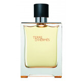 Hermes Terre D'Hermes Тоалетна вода - Тестер 100ml