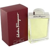 Salvatore Ferragamo Salvatore Ferragamo pour Homme Тоалетна вода, 100ml
