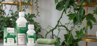 Парфюми за пране Issencia