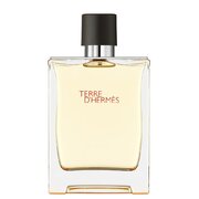 Hermes Terre D'Hermes Тоалетна вода - Тестер