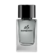Burberry Mr. Burberry for Men Eau de toilette Тоалетна вода 100ml