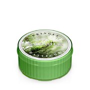 Ароматна свещ Kringle Candle Balsam Fir (35 g)