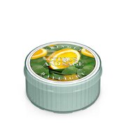 Kringle Candle CITRUS & SAGE ароматизирана свещ (35 g)