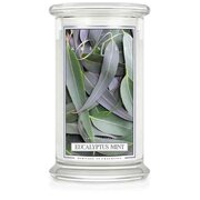 Kringle Candle Eucalyptus Mint голяма ароматизирана свещ с 2 фитила (624 g)