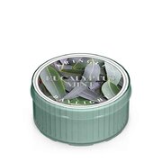 Kringle Candle Eucalyptus Mint ароматизирана свещ (35 g)