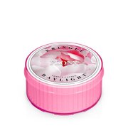 Kringle Candle Свещ с аромат на божур (35 g)