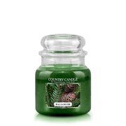 Свещ Country Candle Balsam Fir средна ароматна свещ с 2 фитила (453 g)