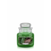 Country Candle Balsam Fir ароматизирана свещ мини 1 фитил (104 g)