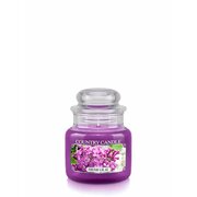 Country Candle Fresh Lilac ароматизирана свещ мини 1 фитил (104 g)
