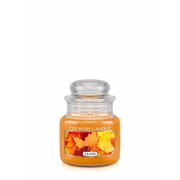 Мини свещ с аромат на Country Candle Leaves 1 фитил (104 g)