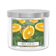 Kringle Candle TUMBLER Свещ с аромат на цитрус и градински чай среден 2 фитила (411 g)