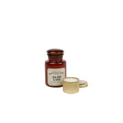 Ароматизирана свещ с морска сол и градински чай Paddywax Apothecary (8oz / 226g)