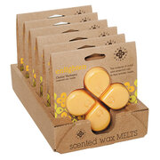 ROOT CANDLES Seeking Balance wax ENLIGHTEN / ПРОСВЕТЛЕНИЕ