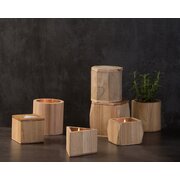 Paddywax WOODS SQUARE ЕВКАЛИПТ И САНДАЛОВО ДЪРВО (12oz / 340g)