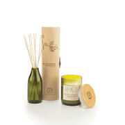 Paddywax Eco Green BLOOD ORANGE & BERGAMOT дифузер (4 oz / 118 ml)