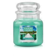 Свещ Country Candle Citrus & Seagrass средна 2 фитилна ароматизирана свещ (453 g)