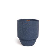 Paddywax Parks ACADIA SEAGRASS & DRIFWOD (11oz / 311g)