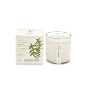 Ароматна свещ KOBO Plant the Box Crushed Mint (10oz / 283g)