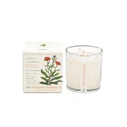 Свещ с аромат на каталонски невен KOBO Plant the Box (10oz / 283g)