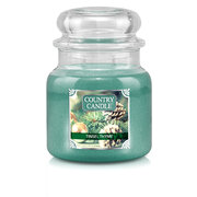 Свещ Country Candle Tinsel & Thyme средна 2 фитила ароматизирана свещ (453 g)