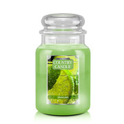 Country Candle Sparkling голяма ароматизирана свещ с 2 фитила (652 g)