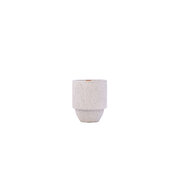 Paddywax Parks Олимпийски национален парк Pacific Moss & Mist (11oz / 311g)