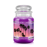 Country Candle Purple Palm голяма ароматизирана свещ с 2 фитила (652 g)