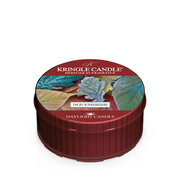 Ароматизирана свещ Kringle Candle Novembrrr (42 g)