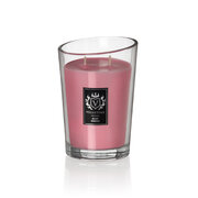 Vellutier Rosy Cheeks ароматна свещ 515гр