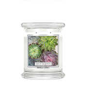 Kringle Candle Succulents ароматизирана свещ среден 2 фитила (411 g)