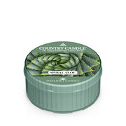 Свещ с аромат на спирала Country Candle Aloe (42 g)