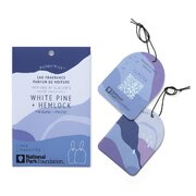 Аромат за кола Paddywax Parks GLACIER WHITE PINE & HEMLOCK