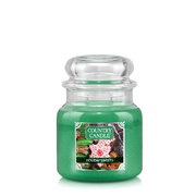 Country Candle Holiday Sweets средна ароматна свещ с 2 фитила (453 g)