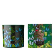 Ароматна свещ Vila Hermanos Jungletopia Butterfly 650гр
