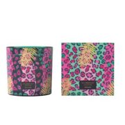 Vila Hermanos Jungletopia WILD MUSK ароматна свещ 650гр