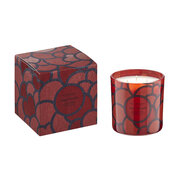 Ароматна свещ Vila Hermanos '70s Poppy & Marigold 500гр