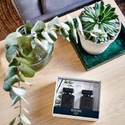 ipuro Essentials Black Bamboo 2x50ml дифузер в подаръчна кутия