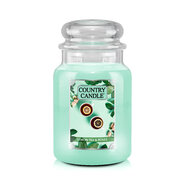Country Candle Lemon Tea & Roses голяма ароматизирана свещ с 2 фитила (737 g)