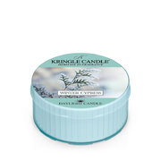 Ароматна свещ Kringle Candle Winter Cypress (42g)