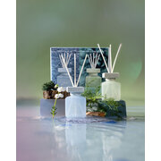 ipuro Essentials in Harmony & Nature 2x50ml дифузер в подаръчна кутия