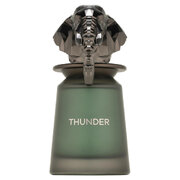 French Avenue Thunder Парфюмна вода 100ml